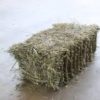 Sudan Grass Square Bale